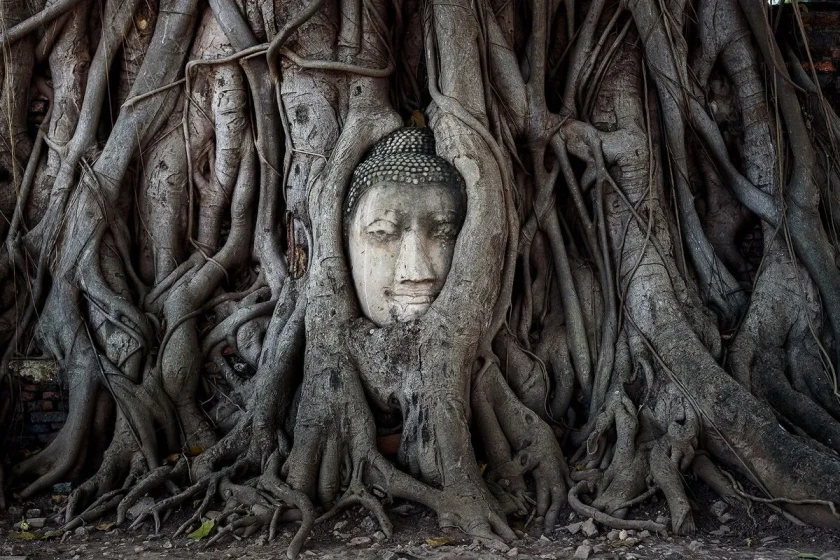 Au-delà des plages : Guide d’une agence réceptive sur les temples les plus importants de Thaïlande
