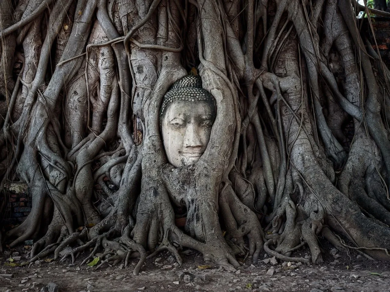 Au-delà des plages : Guide d’une agence réceptive sur les temples les plus importants de Thaïlande