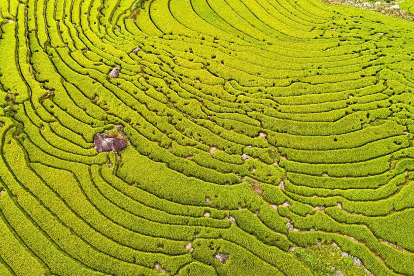 Discover Binh Lieu – Un lieu charmant du nord du Vietnam